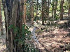 -福建鲤鱼洲酒店