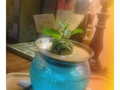 -樹下遇见树·咖啡
