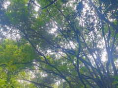 -飞霞风景名胜区