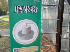 -前小桔亲子创意农场·草莓采摘·露营烧烤