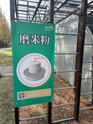 -前小桔亲子创意农场·草莓采摘·露营烧烤