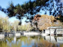 -黄村公园