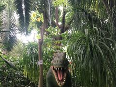 -北京植物园-展览温室
