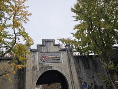 -安仁古镇