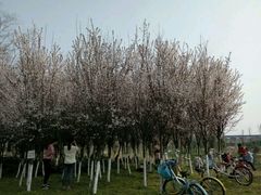 -白鹭湾湿地公园