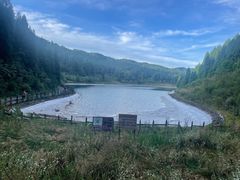 -武陵山森林公园