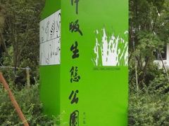 -西湖风景区-江洋畈生态公园