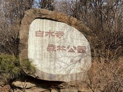 -白水寺森林公园