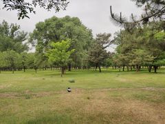 -承德避暑山庄景区