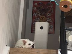 -悟白咖啡WoobyCafe