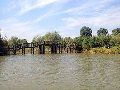 高桥-梁鸿国家湿地公园
