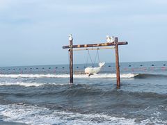 -渔岛海洋度假区