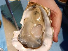 -千岛蚝高压锅生蚝·人参火锅(白云万达店)