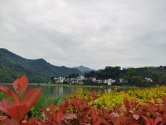 -新安江山水画廊风景区