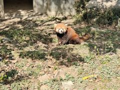 -宁波野生动物园