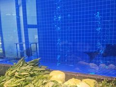 -忆江南·临江鱼馆