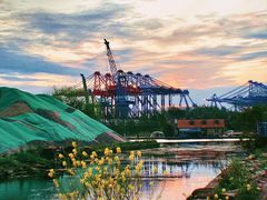 -上海长兴岛郊野公园