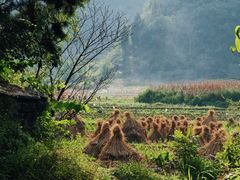 -高荡千年布依古寨旅游景区