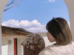 -翠田Green Field Kitchen