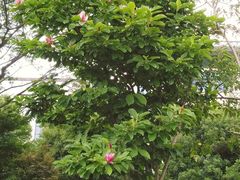 -苏州市立医院(白塔院区)