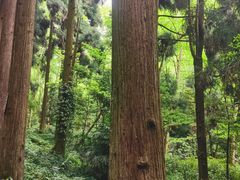 -青城山