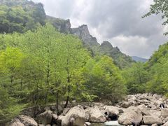 -青峰峡国家森林公园