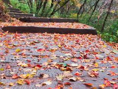 -洛阳白云山景区