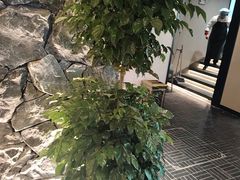 -杏花村水席楼·洛阳水席(老城十字街店)