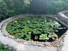 -活水公园