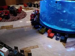 -OPEN開全日自助餐厅·牛肉火锅·海鲜(佛山希尔顿酒店)