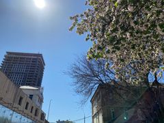 -天幕新彩云国际影城(激光巨幕店)