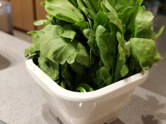 -海底捞火锅(公益西桥店)