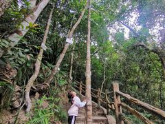 -海南热带雨林国家公园吊罗山景区