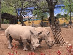 -西安秦岭野生动物园