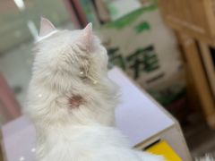 -吾悦广场(天津和平店)