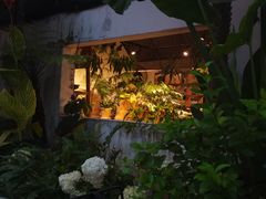 -自由生长植物工作室(深港花卉中心店)