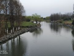 -九里河湿地公园