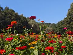 -萨尔浒风景区