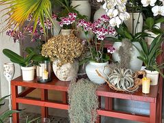 -OGGI TRATTORIA PIZZERIA(深业上城店)