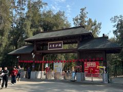 -大京沙滩