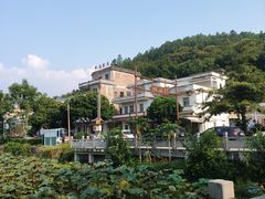 -红山村