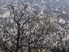 -北京凤凰岭