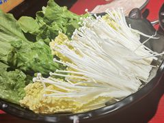 -谭鸭血老火锅(万象九宜城店)