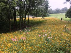 -保利石象湖景区