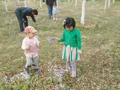 -永定河休闲森林公园