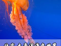 -太平洋海底世界