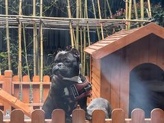 -上海崇明金茂凯悦酒店