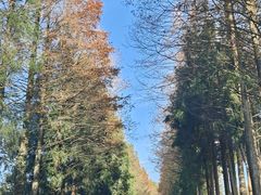 -山王坪喀斯特国家生态公园