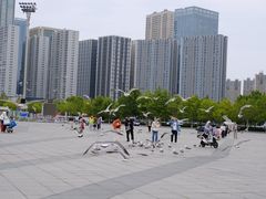 -东港音乐喷泉广场