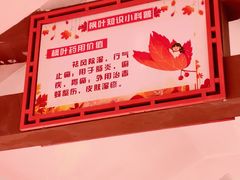 -广州市帽峰山景区